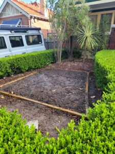 Left side of garden